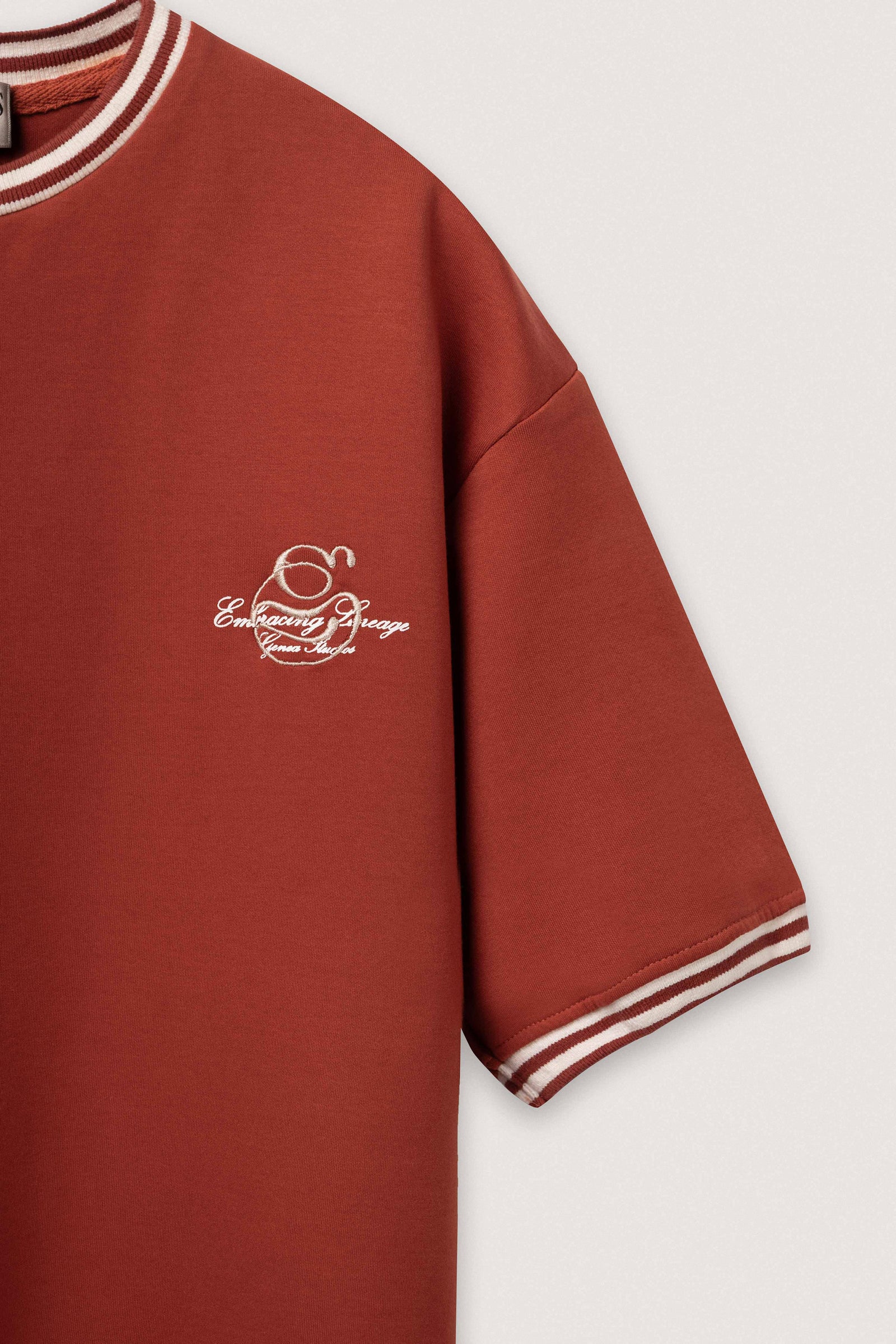 Brick Contrast Collar Boxy T-Shirt - Brick - image 2