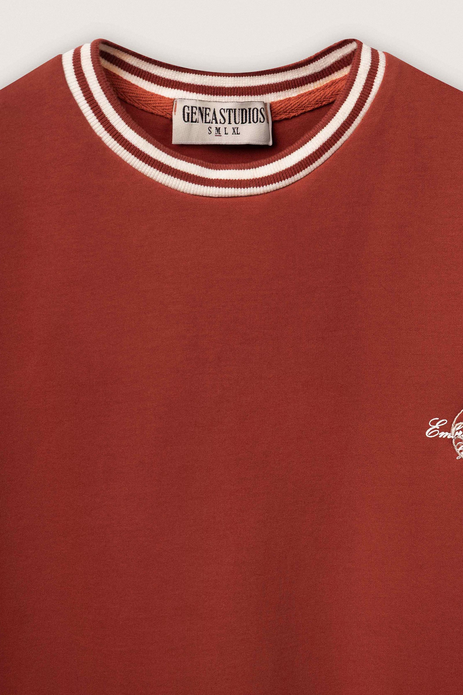 Brick Contrast Collar Boxy T-Shirt - Brick - image 3